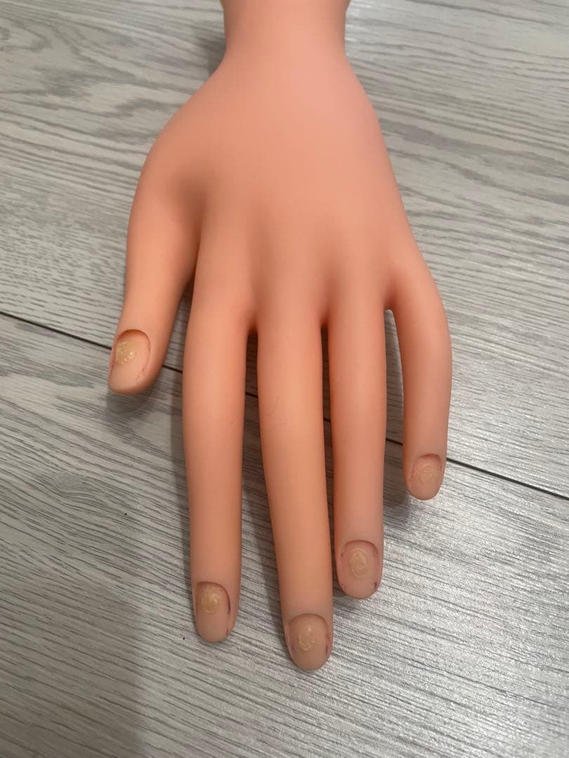 ネイル練習用手 肌色 標準サイズの写真4枚目