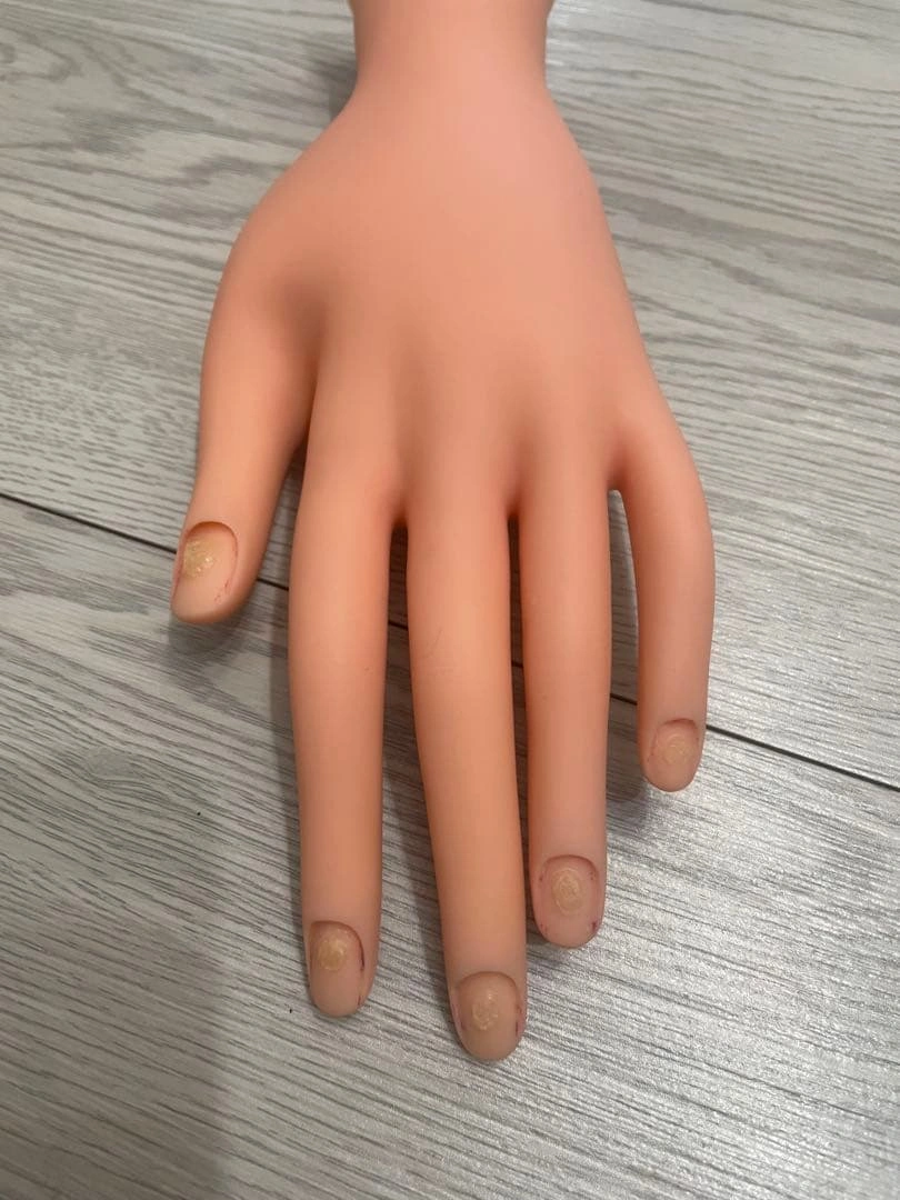 ネイル練習用手 肌色 標準サイズの写真4枚目