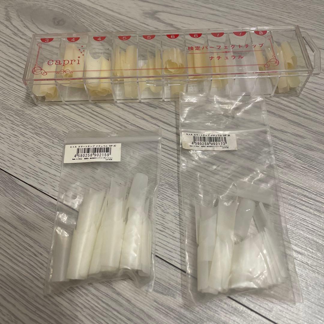 capri ミスト　ネイルチップ セット 多様なサイズ