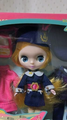 未開封新品 プチブライス フィールザスカイの写真2枚目