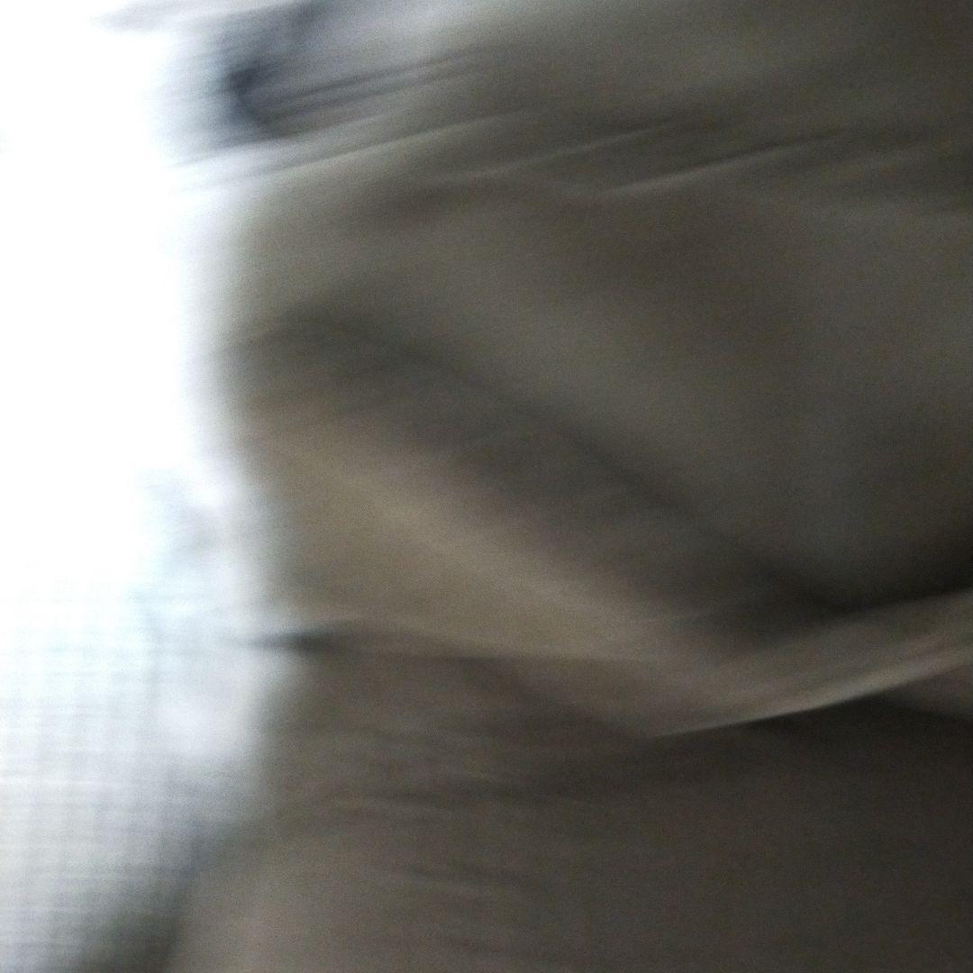 Ergobaby 抱っこ紐 ベージュと黒の写真9枚目