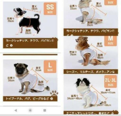 ❣️格安 🍀新品 犬用レインコート 人気 反射板 L以上+200円の写真2枚目