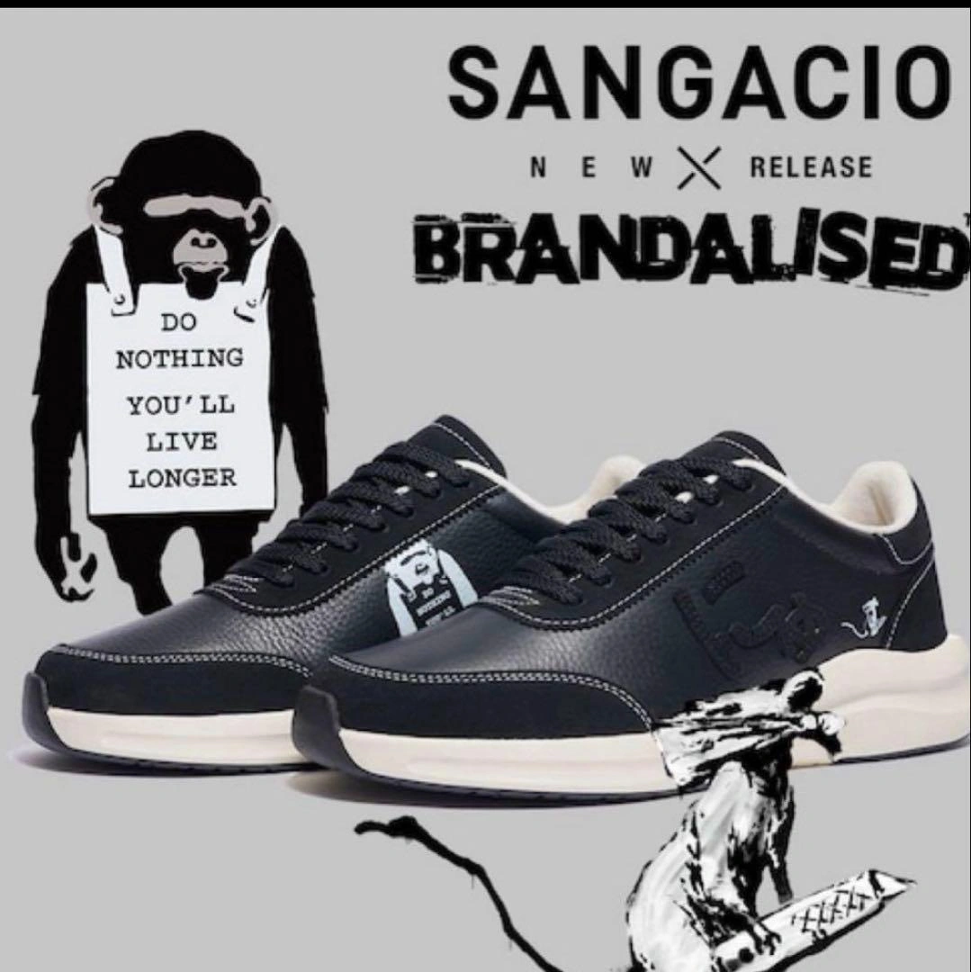 新品にゅBLOW『BRANDALISED』バンクシーグラフィティフォト24cm
