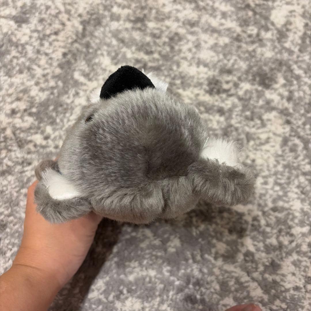 コアラマットレスのぬいぐるみの写真3枚目