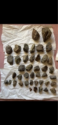 チャーム風山石20kg無料