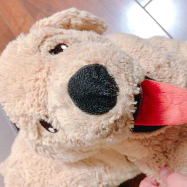 犬のぬいぐるみセット大型1体、 中型 2体の写真5枚目