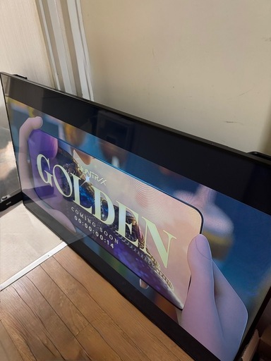 Panasonic 大画面 65型 液晶ディスプレイ