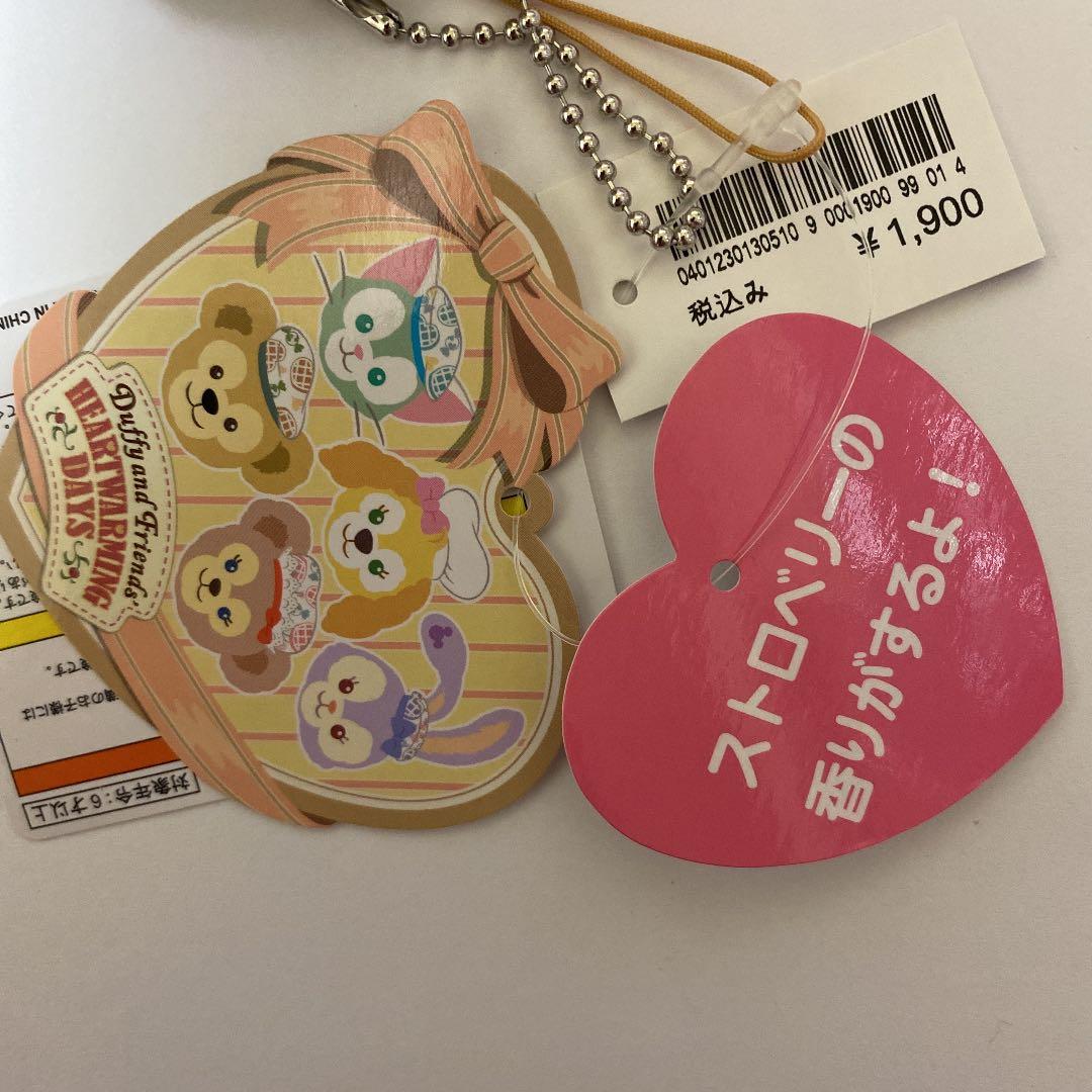 ディズニーリゾート ダッフィー ぬいぐるみバッジの写真5枚目