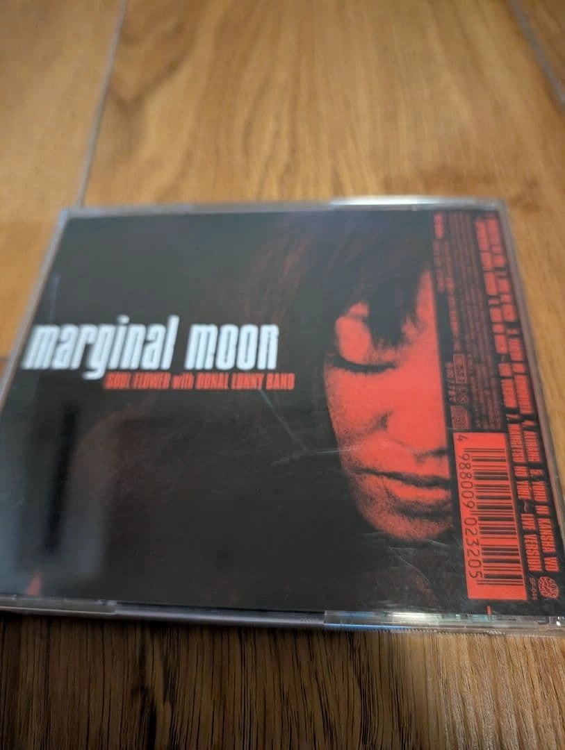 Soul Flower with Donal Lunny Band: Marginal Moodの写真2枚目