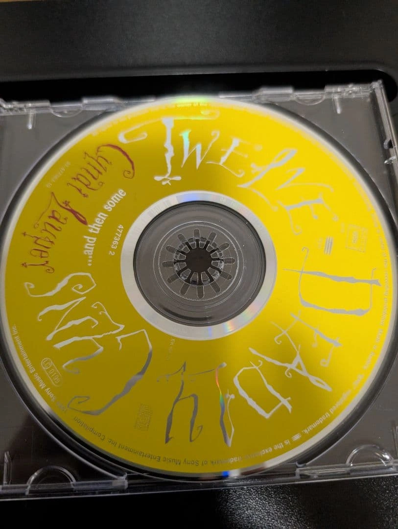 Cyndi Lauper Twelve Deadly Guns CDの写真3枚目