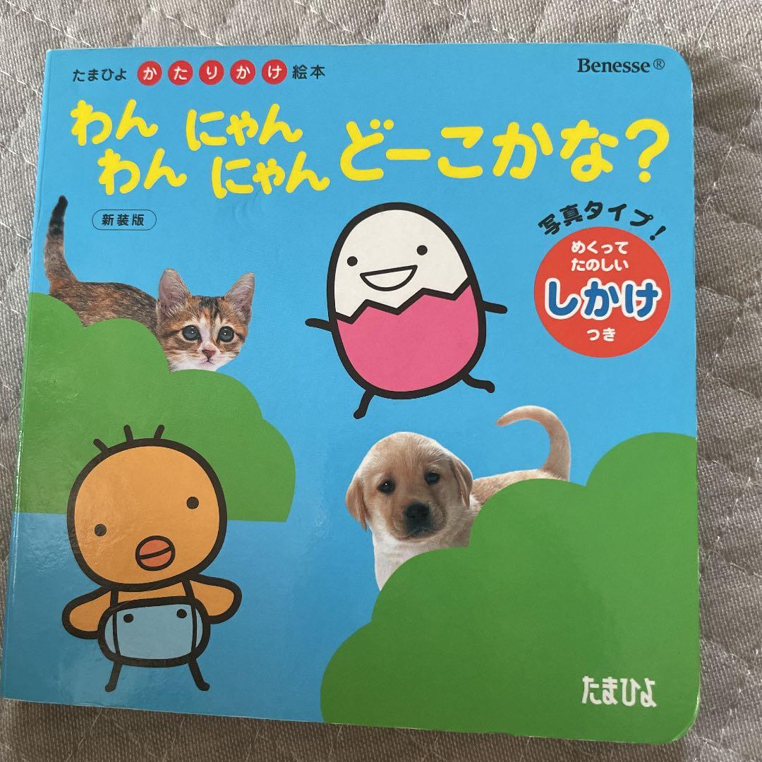 わんわんにゃんにゃんどーこかな? : 写真タイプ!
