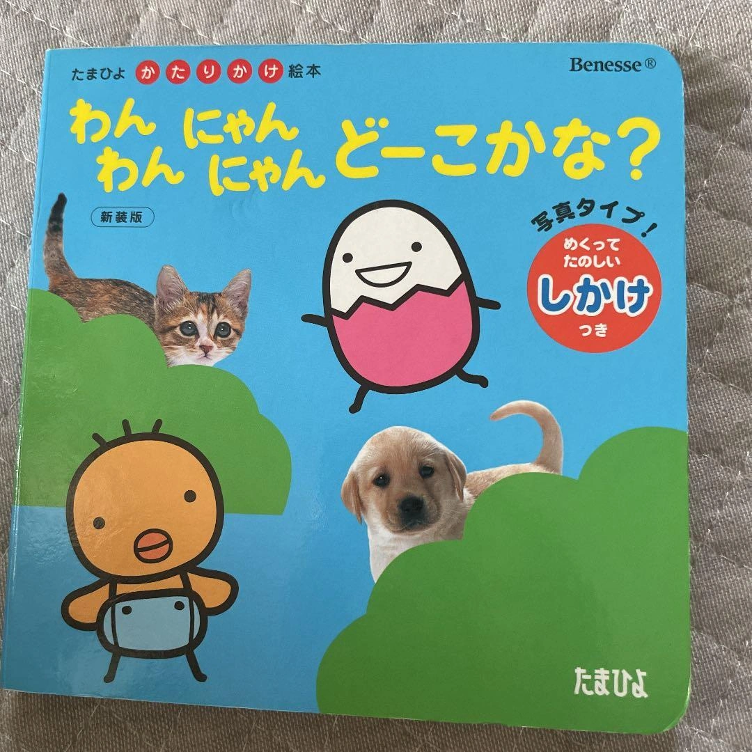 わんわんにゃんにゃんどーこかな? : 写真タイプ!