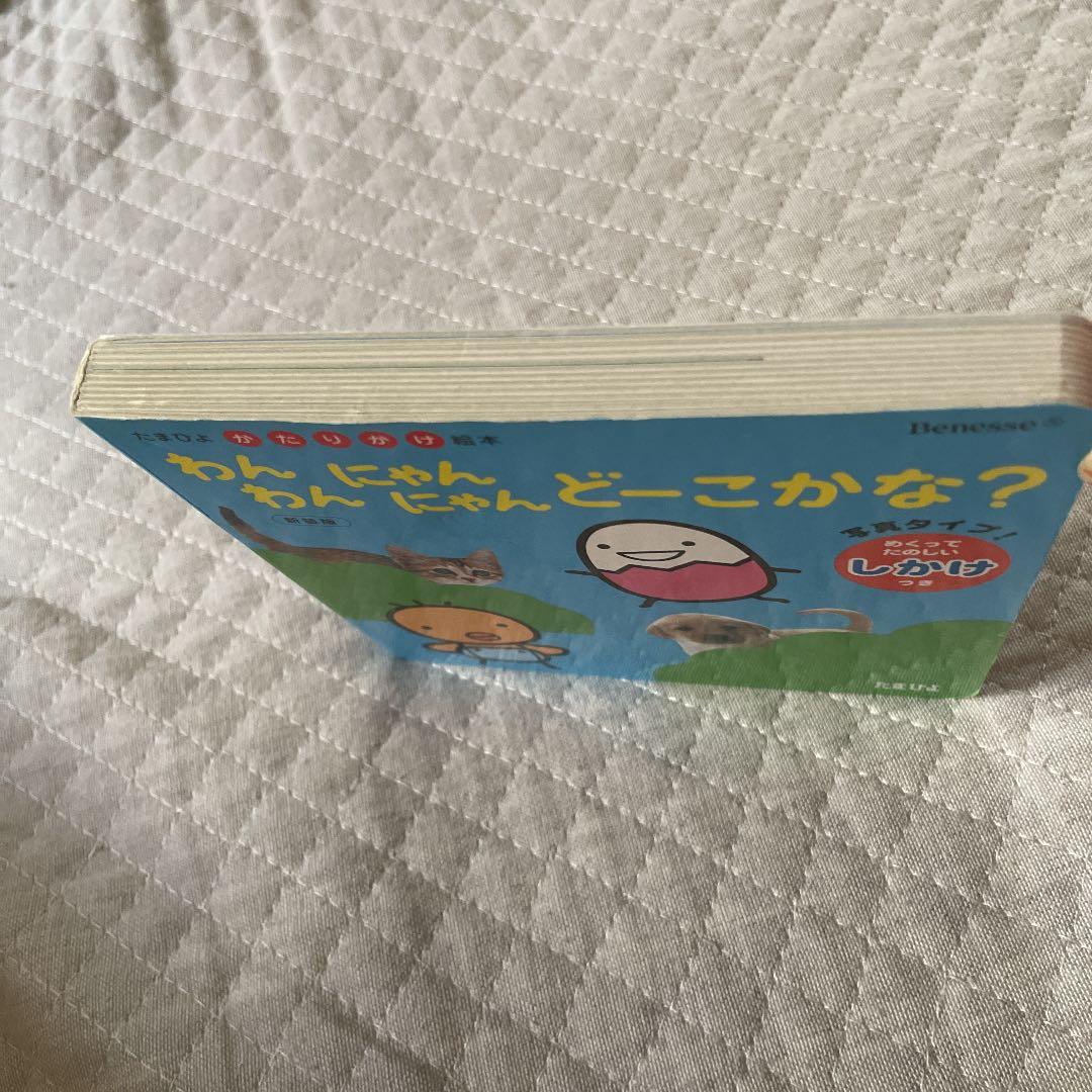 わんわんにゃんにゃんどーこかな? : 写真タイプ!の写真3枚目