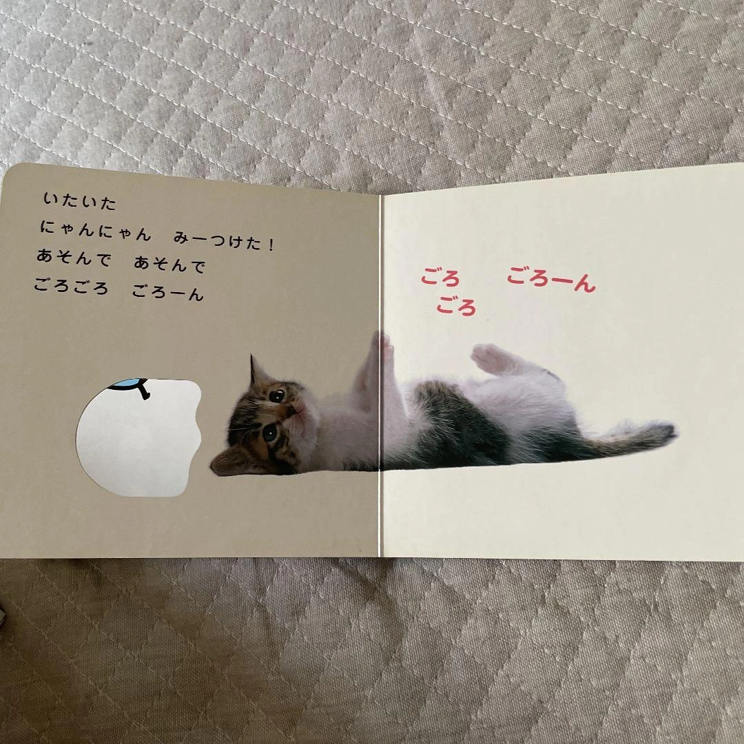 わんわんにゃんにゃんどーこかな? : 写真タイプ!の写真5枚目