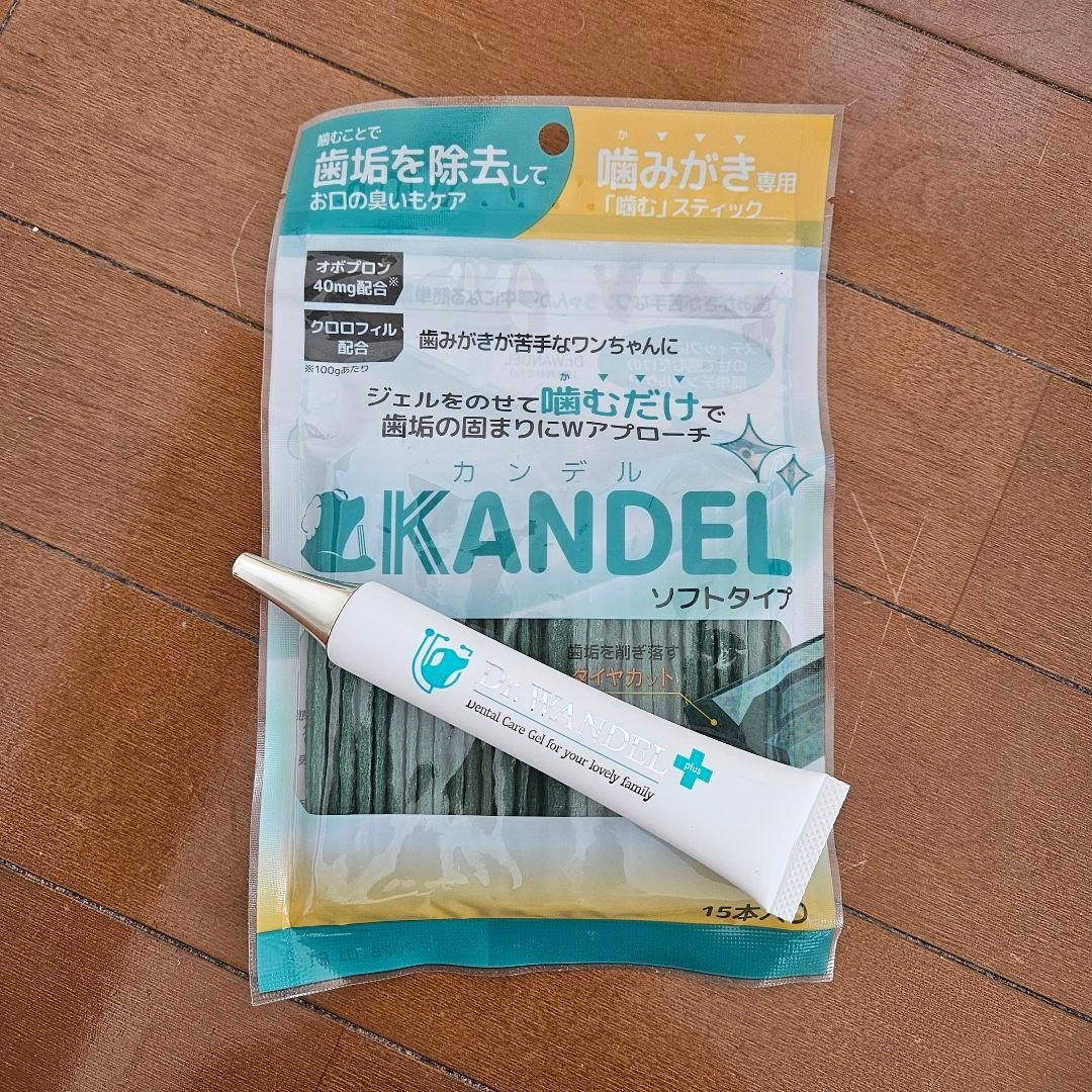Kandel デンタルケアジェル 40g ソフトタイプセット