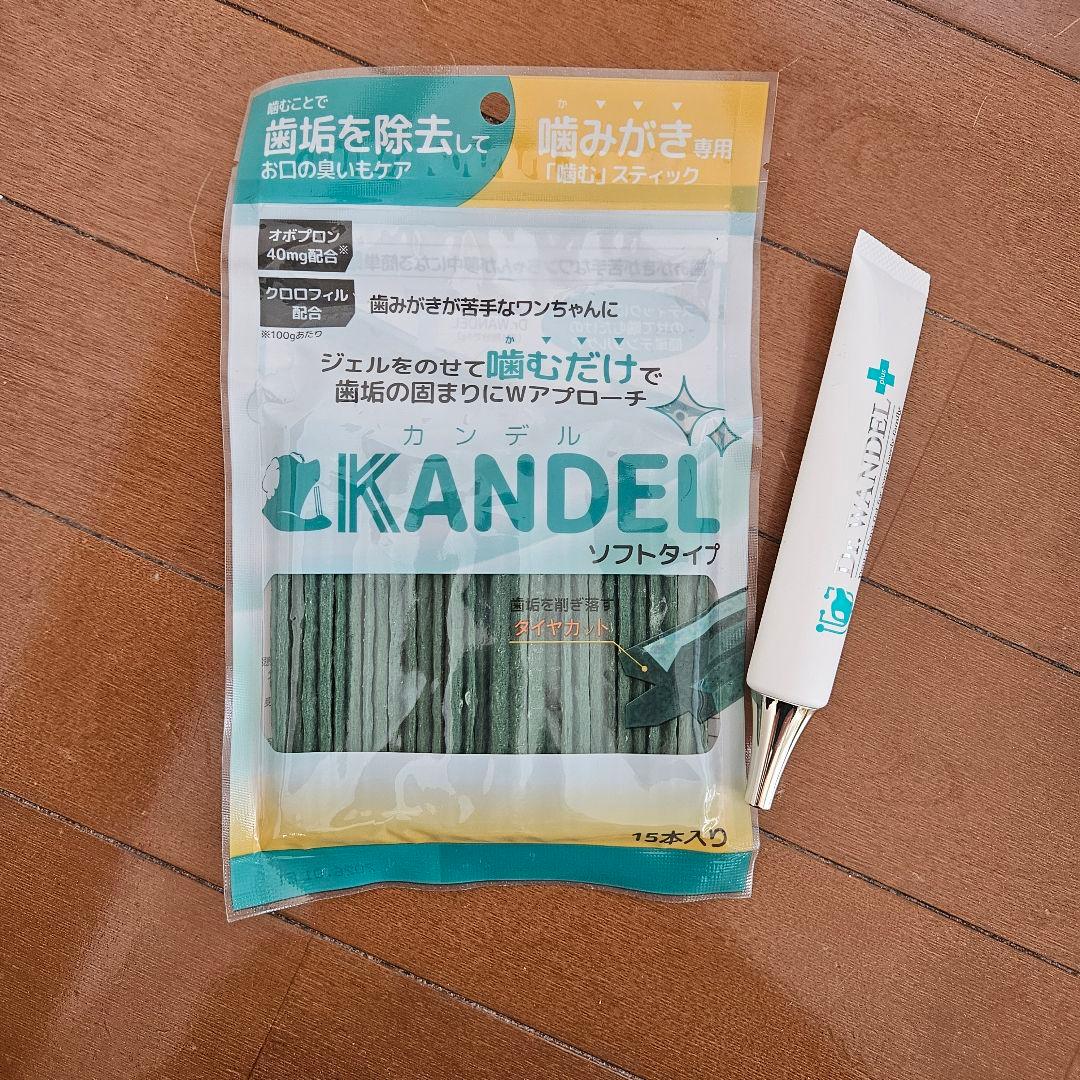 Kandel デンタルケアジェル 40g ソフトタイプセットの写真3枚目