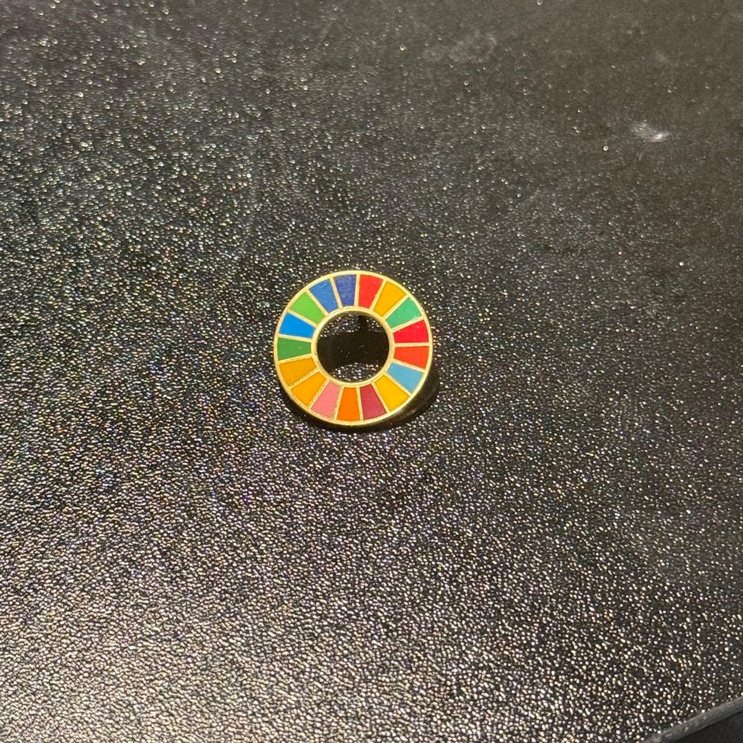 SDGs ラペルピン ピンバッジ Green lite刻印 ※キャッチなし