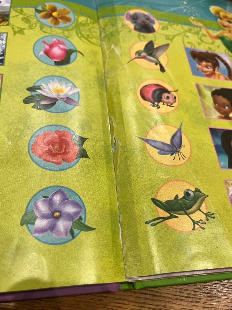 Leap Frog Tag 9冊 英語を読み上げてくれるリーダーペン付きの写真6枚目