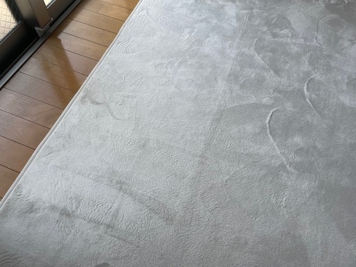 アイボリーのラグ(200㎝×250㎝)の写真3枚目