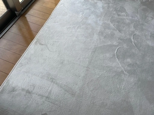 アイボリーのラグ(200㎝×250㎝)の写真3枚目