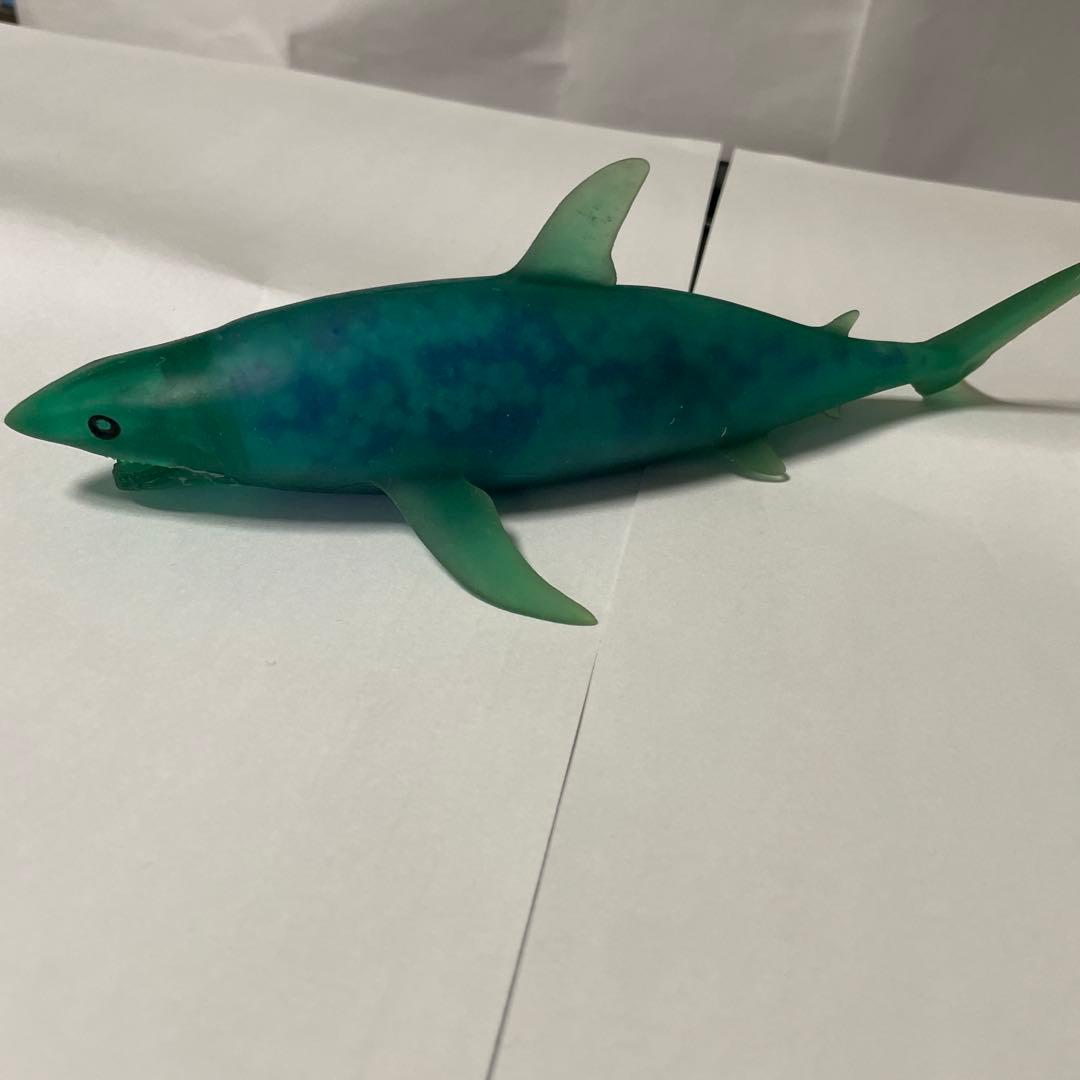 シーモンスターズアンドコホホジロザメ 青色約20cm