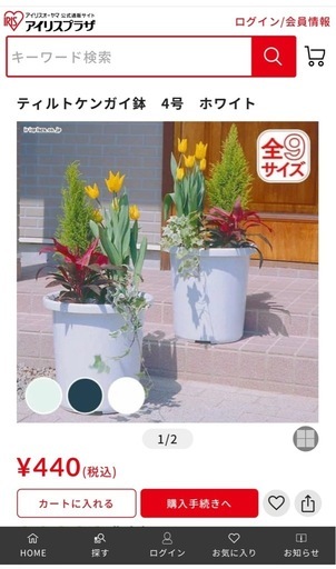 アイリスオーヤマ 植木鉢セット（未使用）の写真3枚目