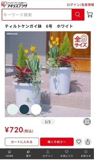 アイリスオーヤマ 植木鉢セット(未使用)の写真4枚目