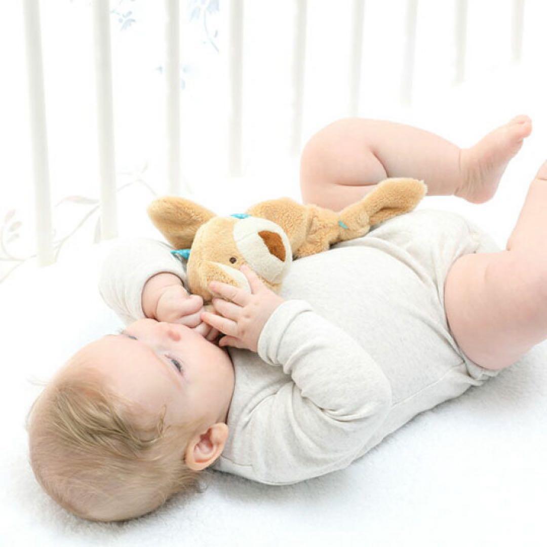 【新品未使用】ボーネルンド　sigikid シギキッド　うさぎ　ハンドパペットの写真6枚目