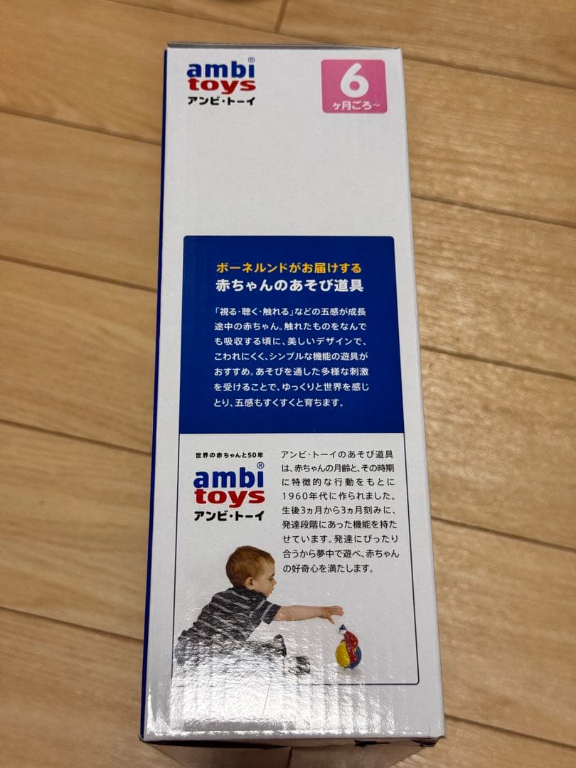 ambi toys Activity Case 知育玩具 ボーネルンドの写真4枚目