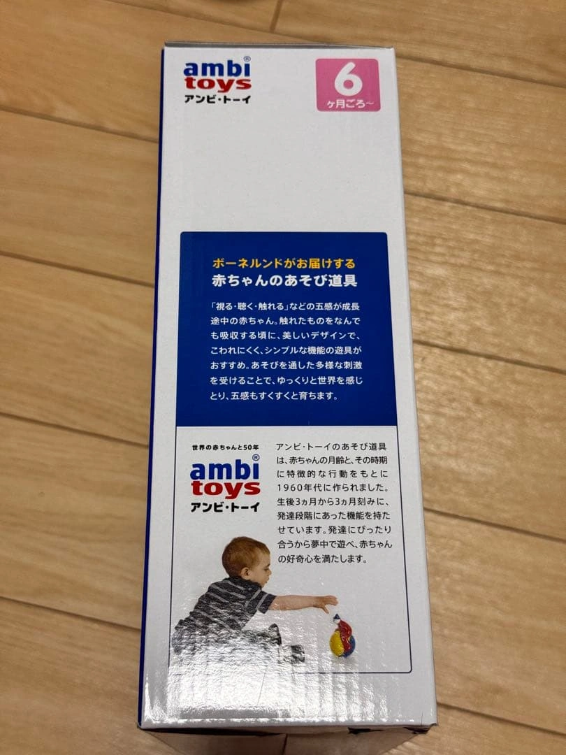 ambi toys Activity Case 知育玩具 ボーネルンドの写真4枚目