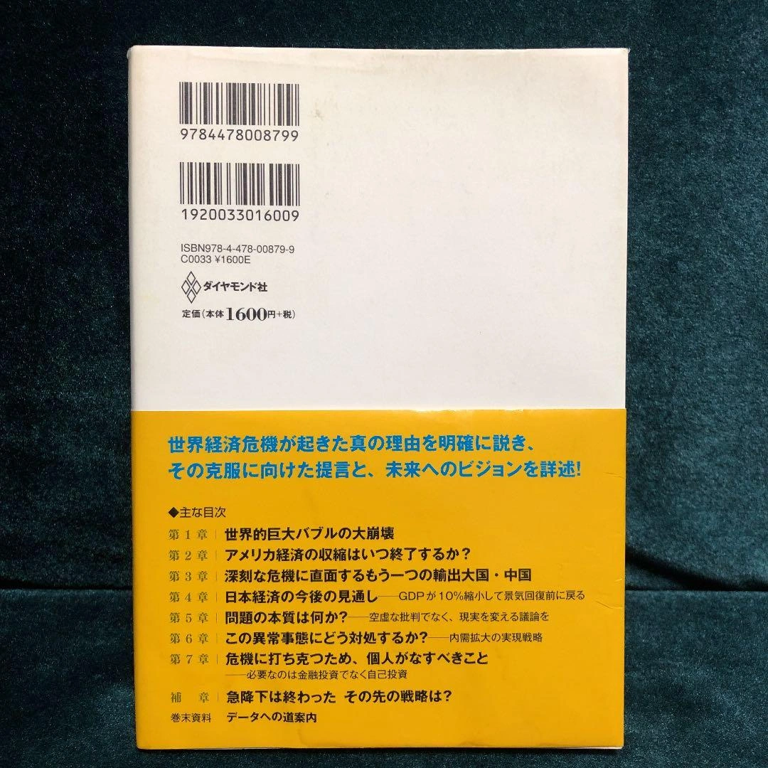 未曾有の経済危機克服の処方箋 : 国、企業、個人がなすべきことの写真2枚目