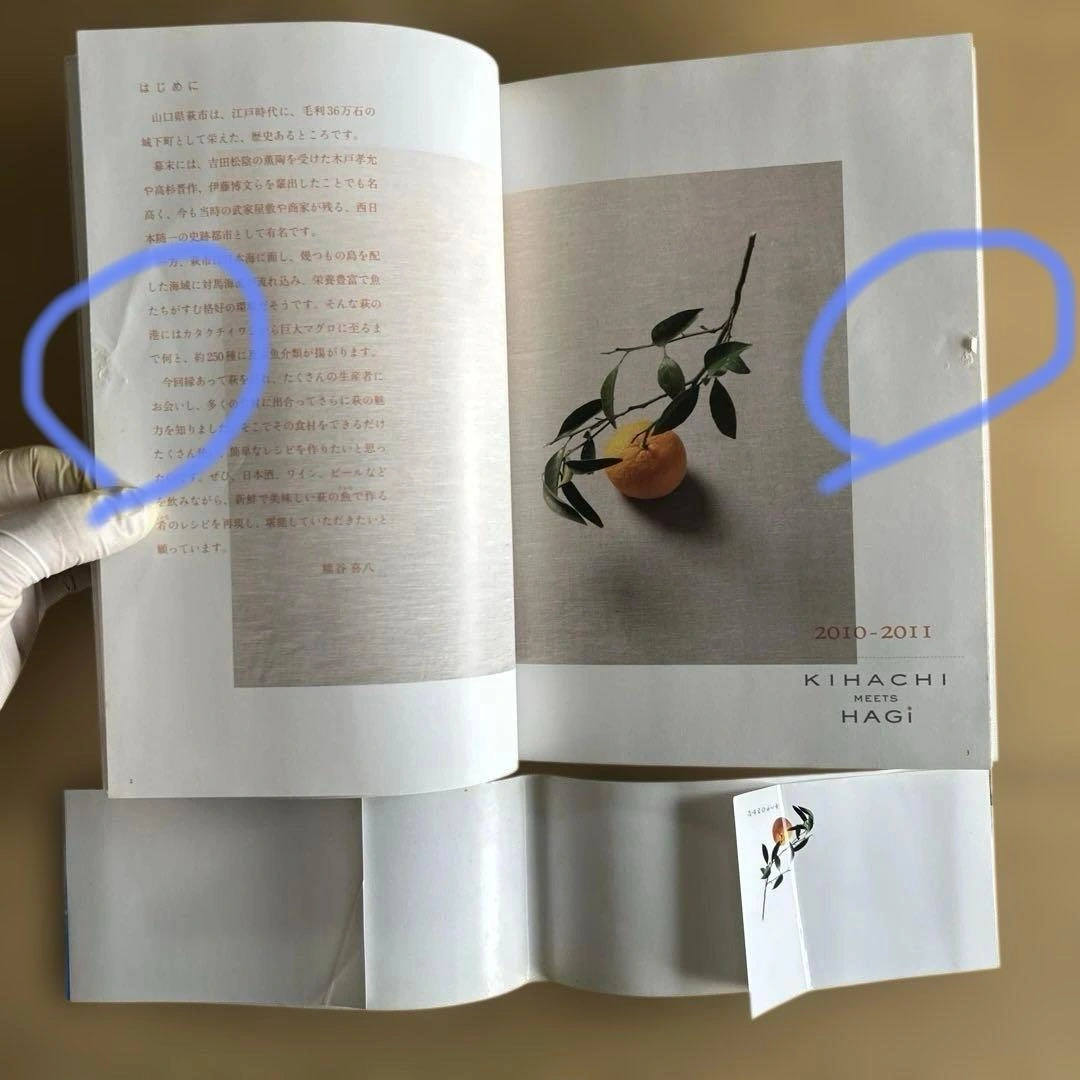 キハチのさかな : 酒の肴萩の魚、旬がまるごと:そらまめ、とうがらし/ポプラ社の写真5枚目