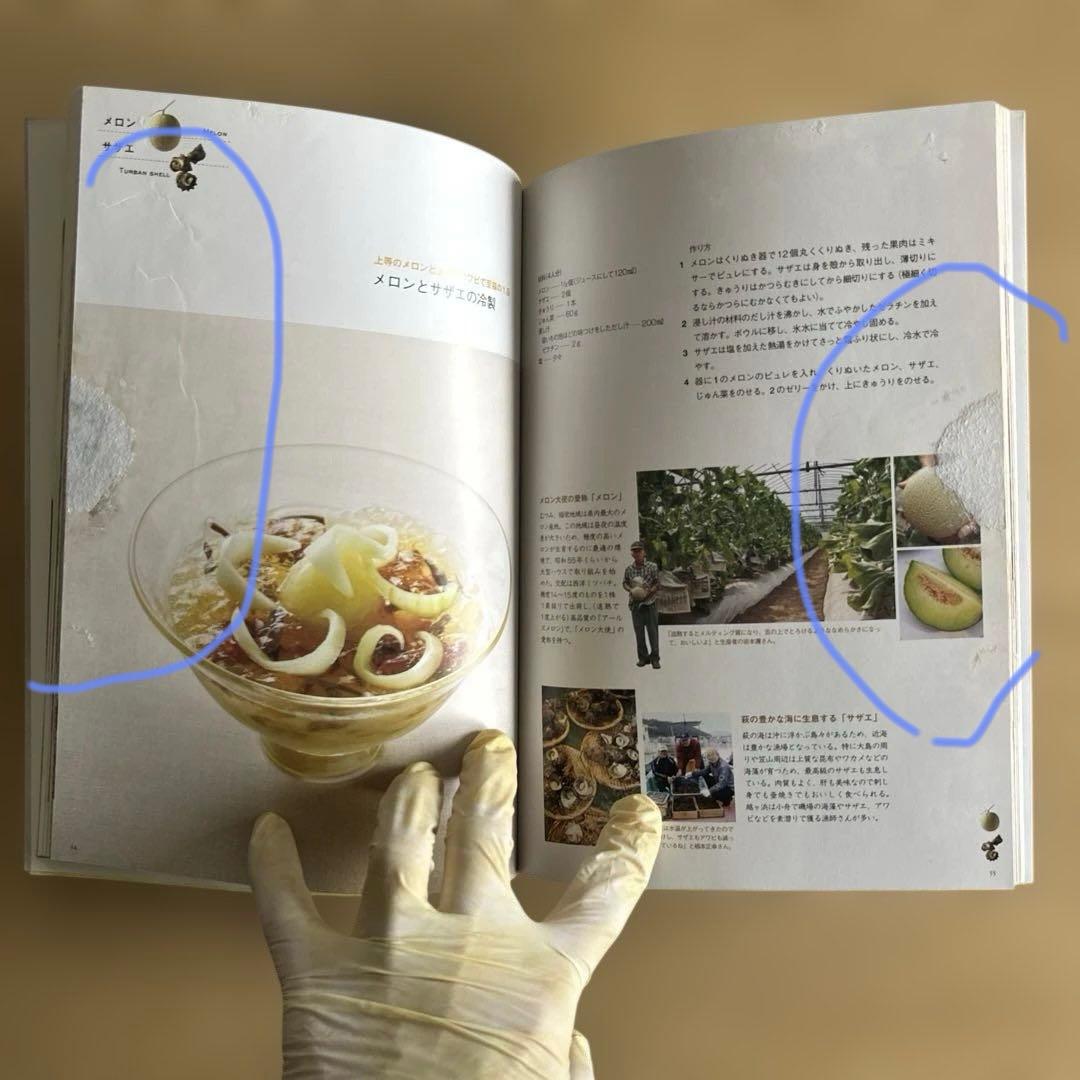 キハチのさかな : 酒の肴萩の魚、旬がまるごと:そらまめ、とうがらし/ポプラ社の写真6枚目