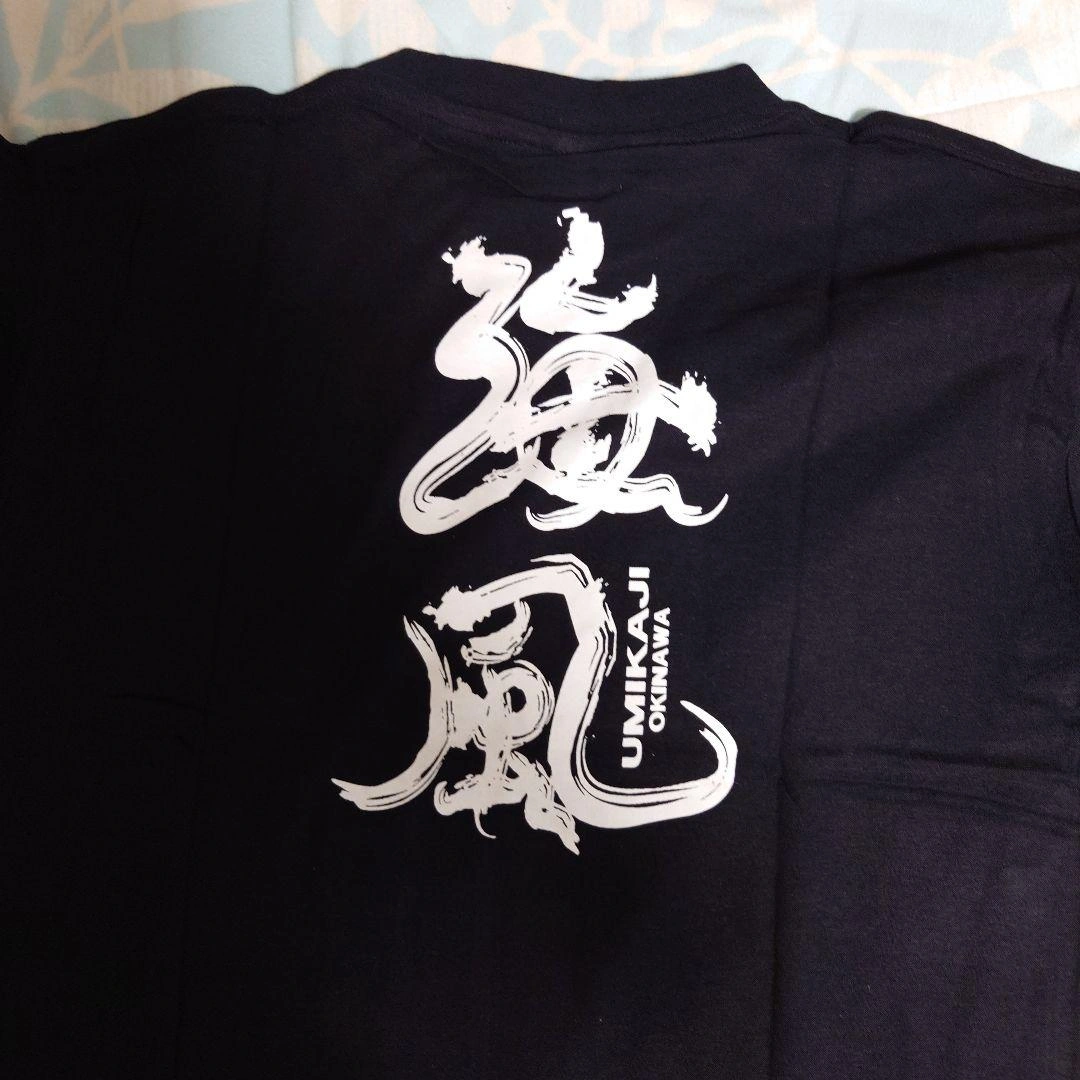 UMIKAJI 海風 Tシャツ 黒(Lサイズ)の写真2枚目