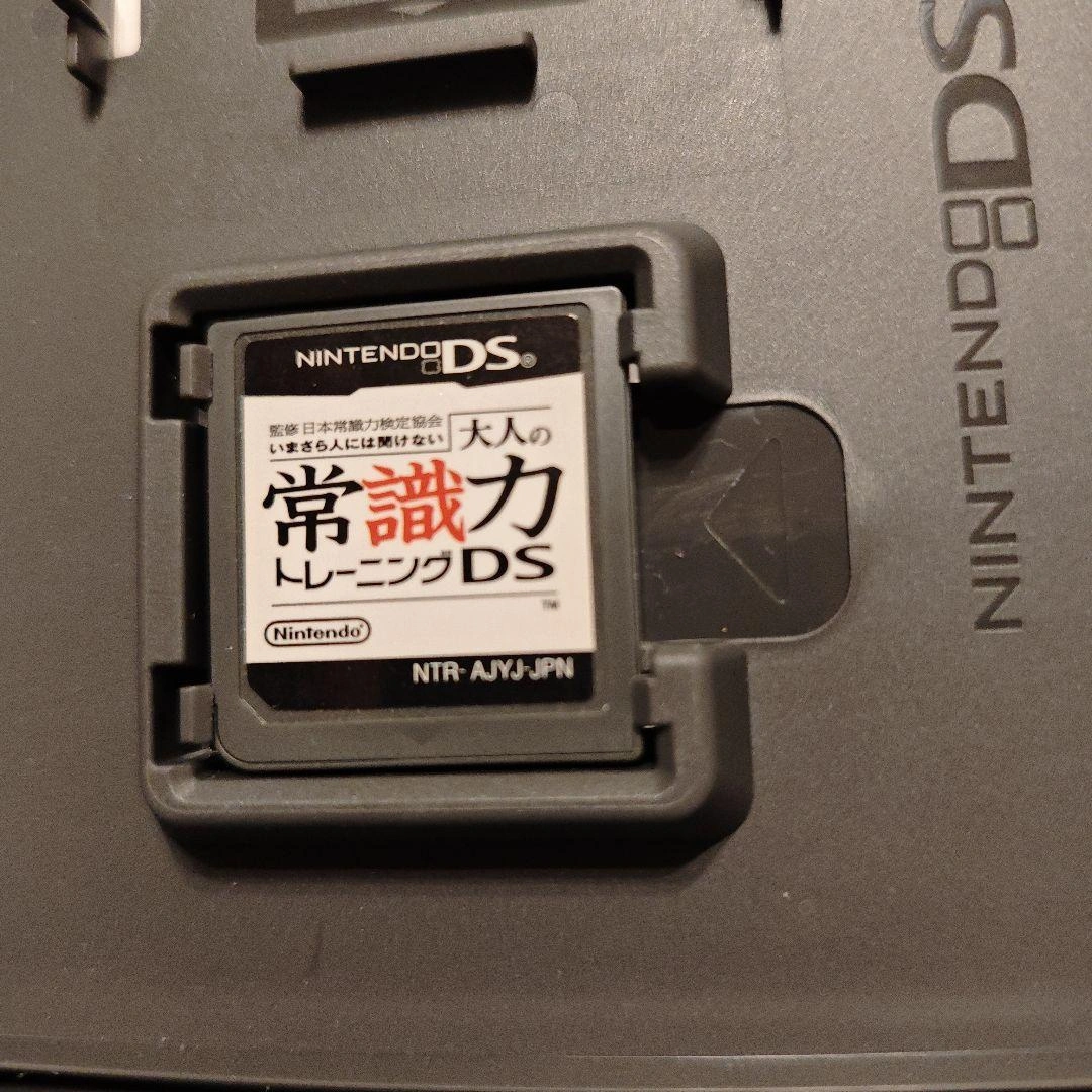 いまさら人には聞けない 大人の常識力トレーニングDSの写真2枚目