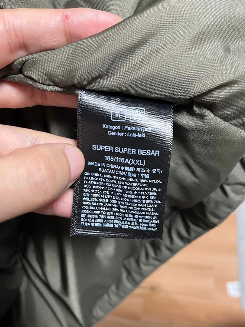 The North Face メンズ フード付きダウンジャケットNF0A8DM8の写真4枚目