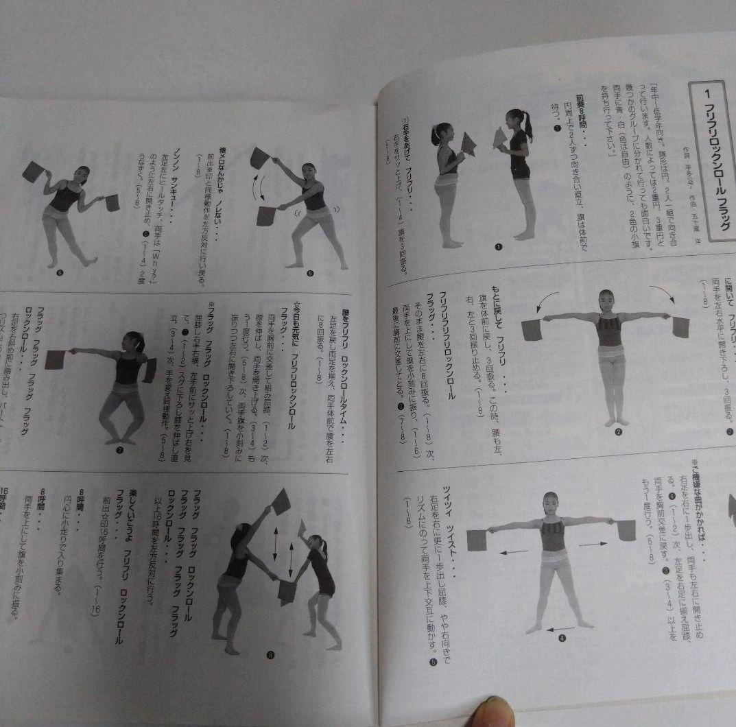 ヒラタ運動会2009 フリフリ ロックンロール フラッグ 運動会 保育書の写真5枚目