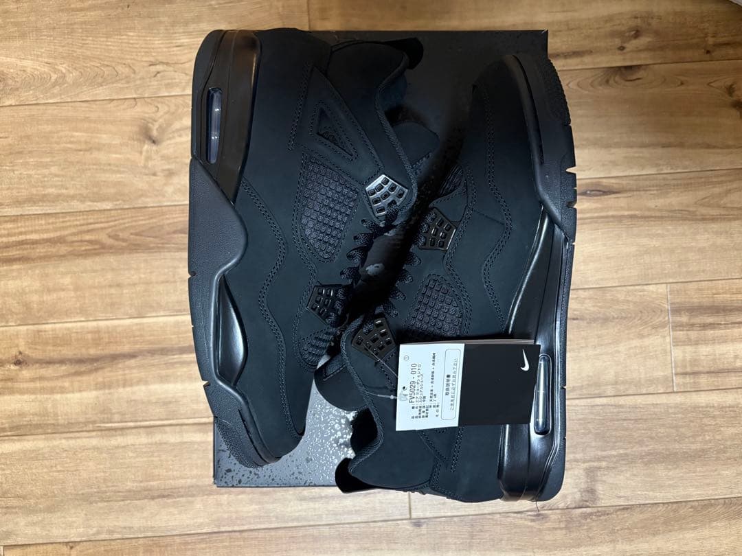 NIKE Air Jordan4 Black Cat 30㎝