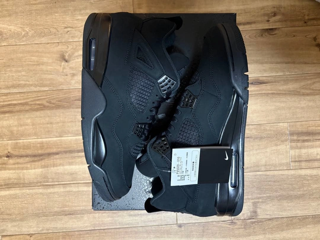 NIKE Air Jordan4 Black Cat 30㎝