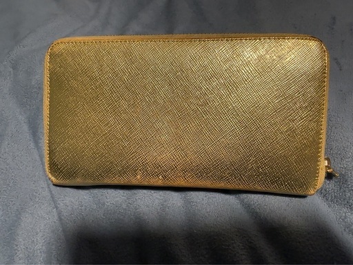 PRADA プラダ 長財布 サイフィアーノ プラティノの写真2枚目