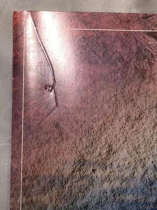 image indicator(2)