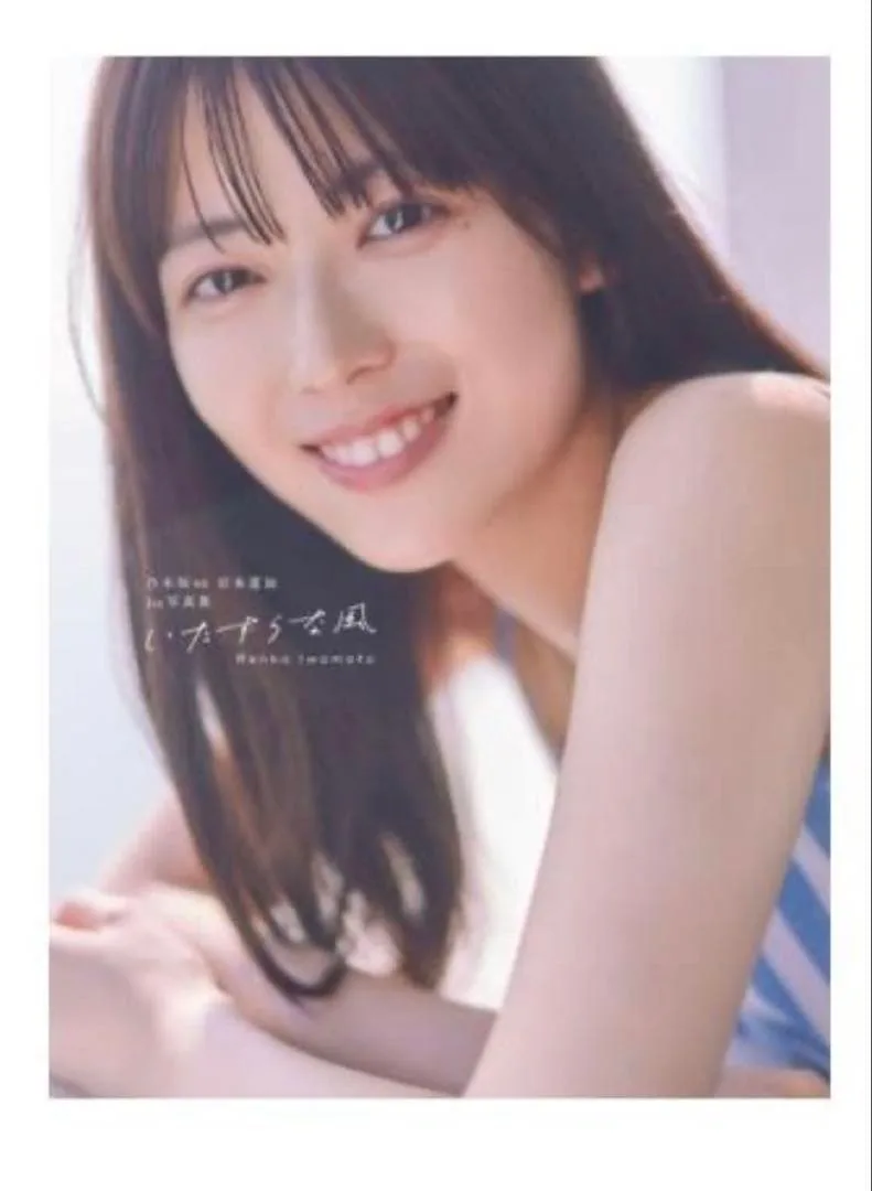 image indicator(1)