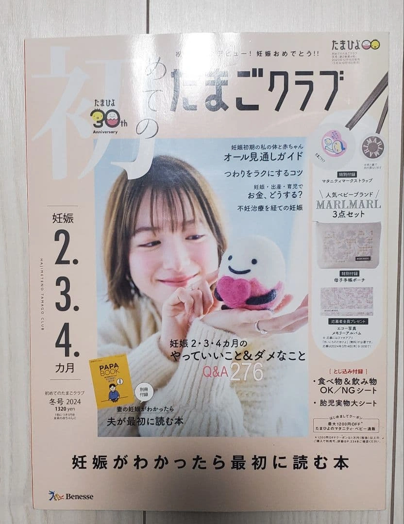 たまごクラブ 初めて~中期 PAPABOOK 妊娠出産育児本 5冊セットの写真3枚目