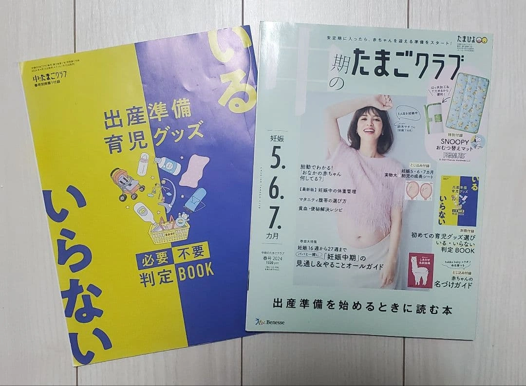 たまごクラブ 初めて~中期 PAPABOOK 妊娠出産育児本 5冊セットの写真5枚目