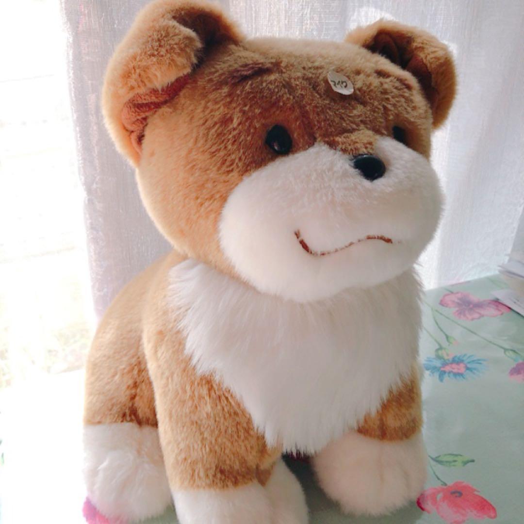 【5月末迄限定価格‼️】いぬ　ぬいぐるみ　可愛い