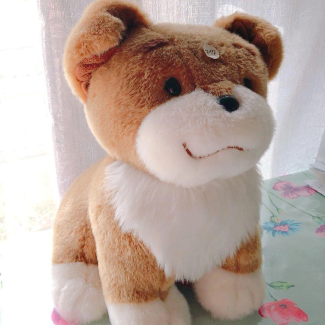【5月末迄限定価格‼️】いぬ ぬいぐるみ 可愛い
