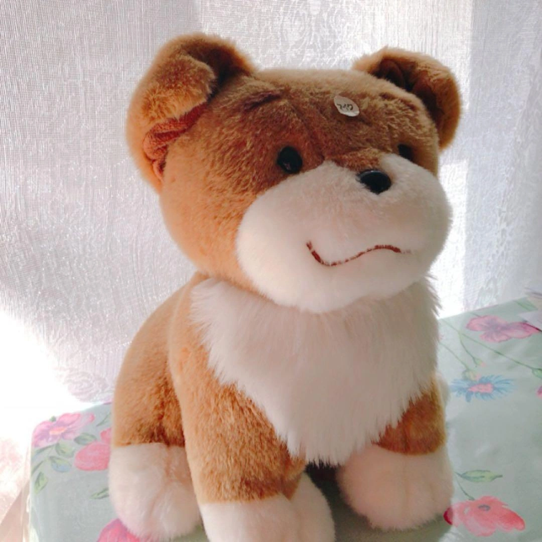 【5月末迄限定価格‼️】いぬ ぬいぐるみ 可愛いの写真2枚目