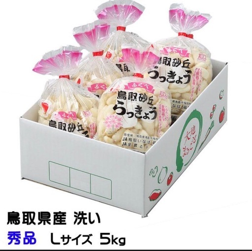 【至急・6月15日まで】国産 洗いらっきょう　1kg✖️3袋