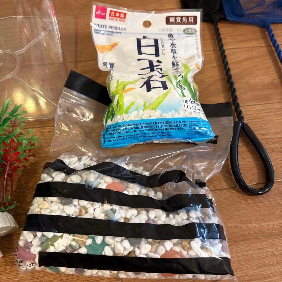 お値下げ‼️金魚、めだか飼育セットプラスチック水槽 水作フィルターの写真5枚目