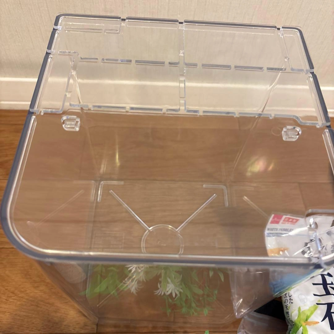 お値下げ‼️金魚、めだか飼育セットプラスチック水槽 水作フィルターの写真6枚目